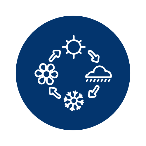 Customized Solutions